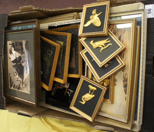 A collection of Various Framed