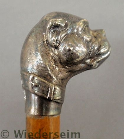 Silver tipped walking stick late 19th