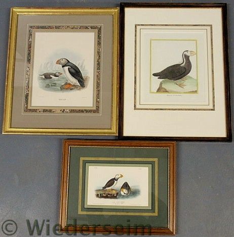 Three framed and matted colorful bird