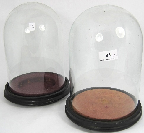 A pair of Glass domes on Wooden
