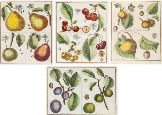 A Collection of Four Botanical 15618b