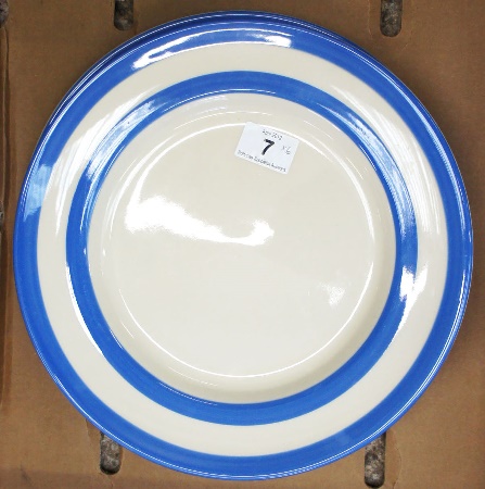T G Green Cornish Ware Dinner Plates 1564df