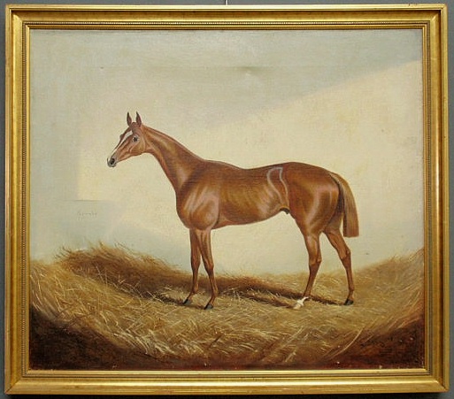 Oil on canvas equine portrait titled 15685e