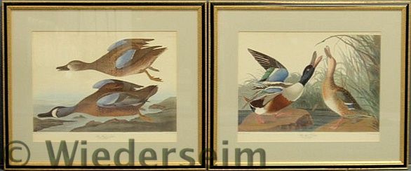 Pair of framed and matted Audubon