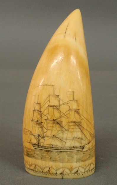 Ivory whale s tooth scrimshaw mid 19th 158ead