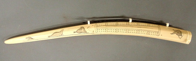 Scrimshaw walrus tusk carved into a