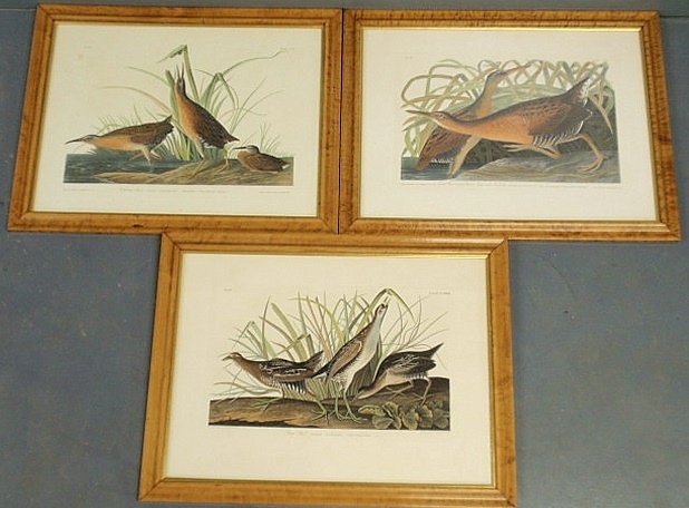 Three maple framed and matted engravings