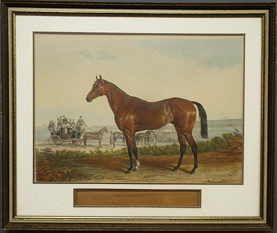 Framed print of a stallion with a four-in-hand