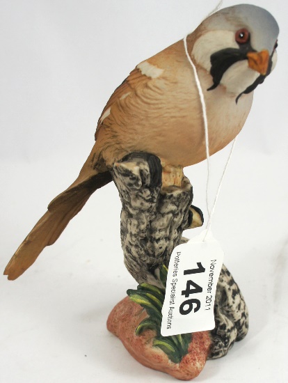 Wade connoissuer model of Bearded Tit