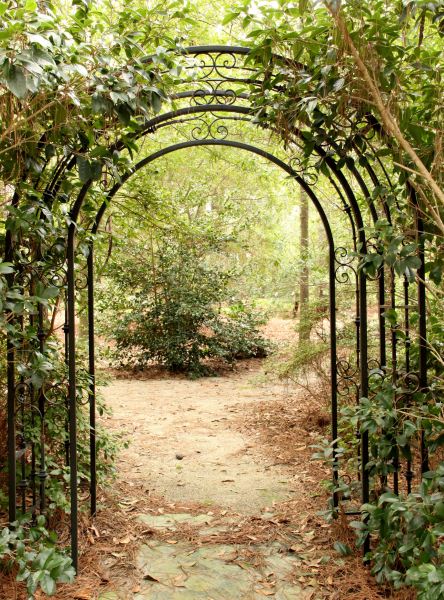 Victorian Style Arched Trelliscast