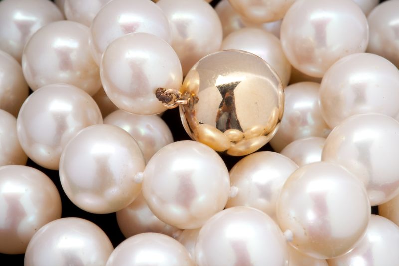 South Sea Pearl Necklace with Gold