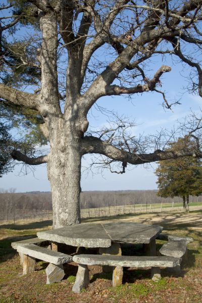 Native North Carolina Stone Table 15cb58