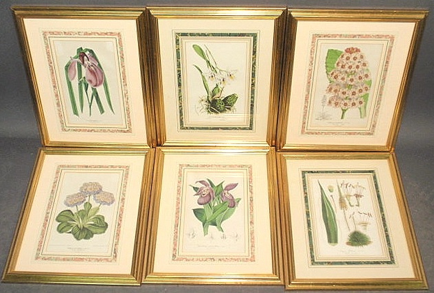 Set of six botanical prints ornately 15adf2