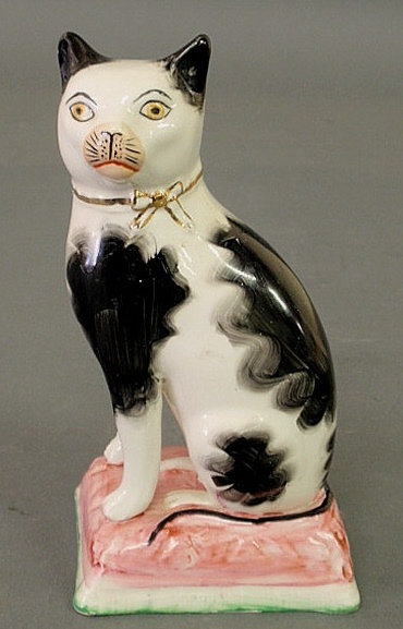 Staffordshire black and white cat