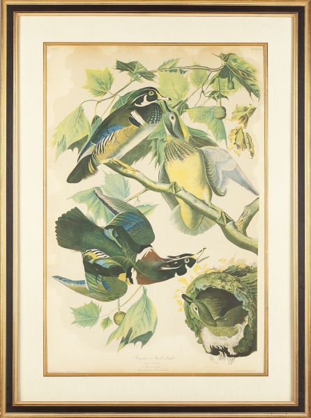 Bien Edition of Audubon's ''Summer