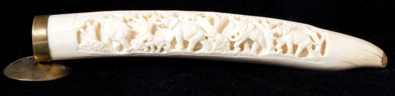 Chinese Ivory Tusk Carved with Elephantsmounted