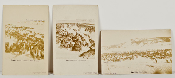 Postcards of Elk Herds by Olaf P. Larsen