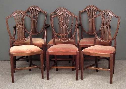 A set of five mahogany shield back dining