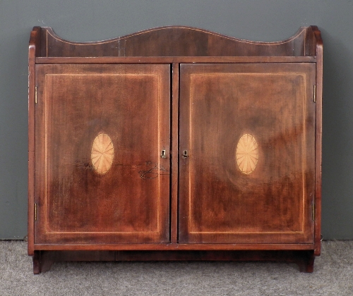 An Edwardian mahogany rectangular medicine