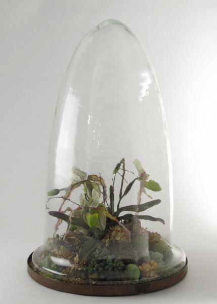 Large Brass and Glass Terrariumcone