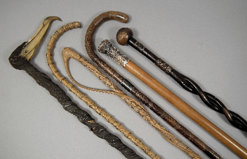 A collection of six walking sticks
