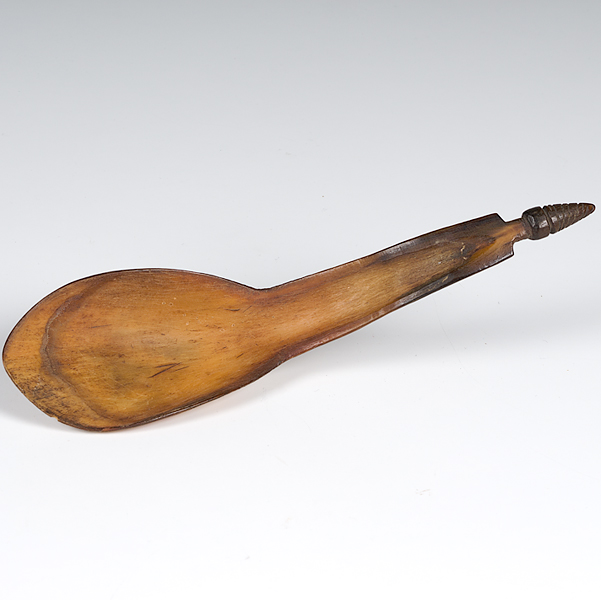 Plateau Horn Spoon gently tapering handle