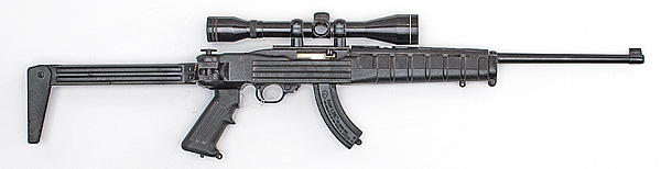  Ruger 10 22 Semi Auto Rifle 22 LR 160b51