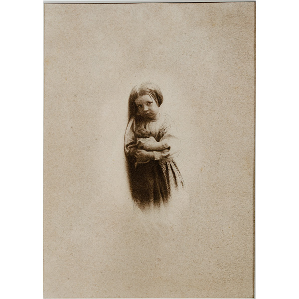 Nancy Ford Cones (1869-1962) The Teddy