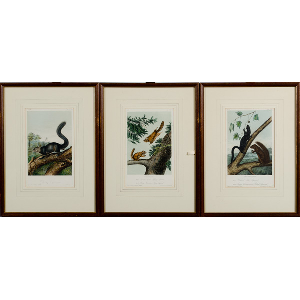 5 Later Audubon Prints Plus 1 Owl 160dd3