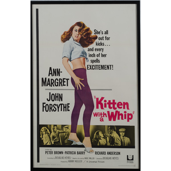 Kitten With a Whip Movie Poster