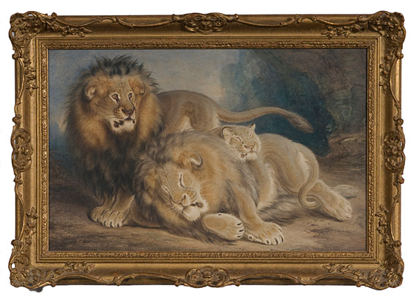 Lions by J.M. Burbank Watercolor