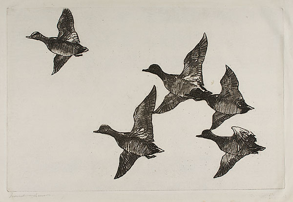 Flying Widgeon by Frank Weston