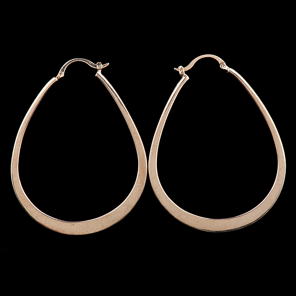 Tiffany Co Sterling Hoop Earrings 16120e