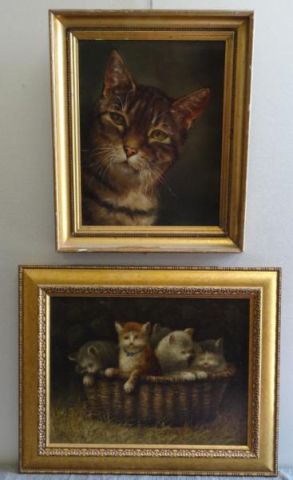 Two Oils of Cats. 1 Carolyn DROGE