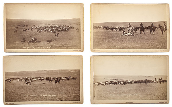 C D Kirkland Photographs of Cow Boy 15ff0f