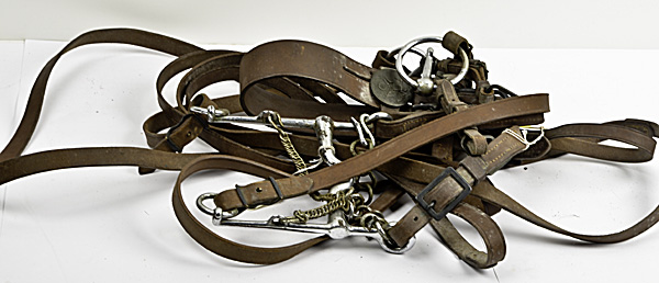 US WWI M 1909 Cavalry Bridle Set 160478