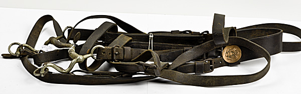 US WWI Halter Bridle With 1892 160474