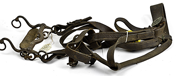 US WWI Halter-Bridle With M-1892