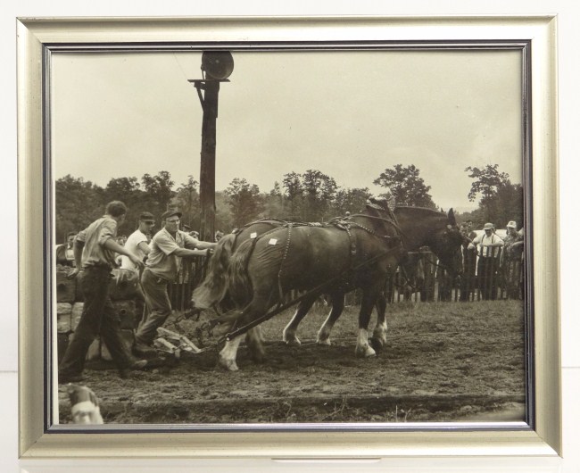 Vintage Al Macy photograph of horse