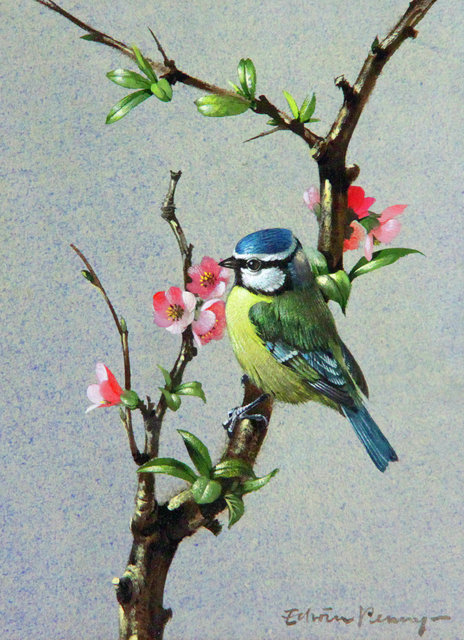 Edwin Penny (born 1930) AARBLUE TITperched