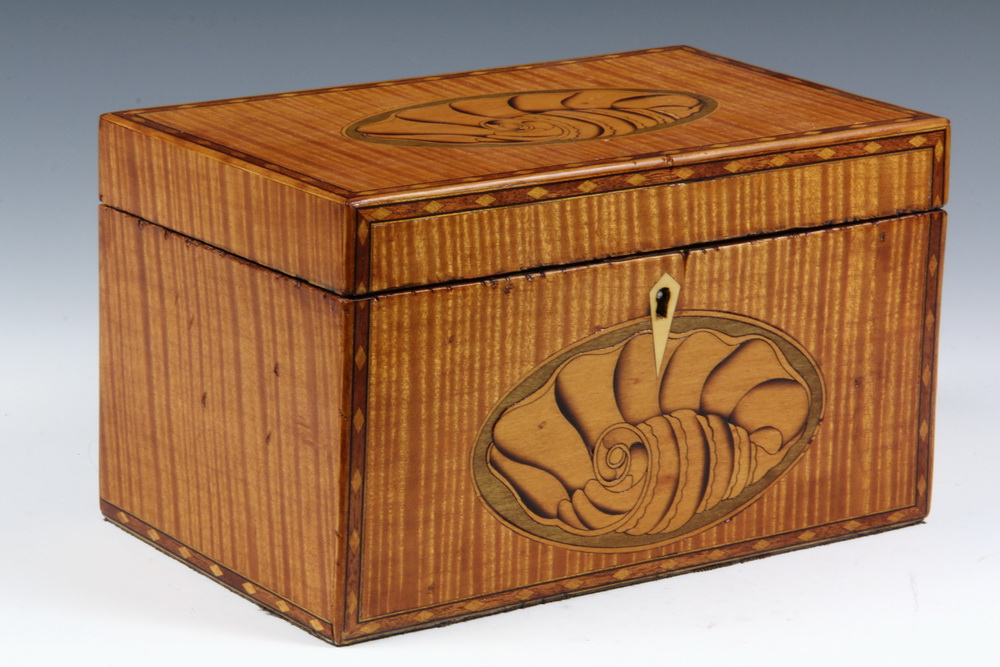 TEA CADDY Boldly Figured Tiger 16354d