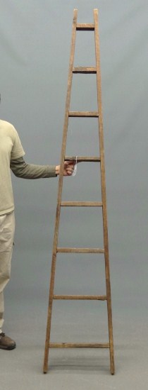 Early apple ladder. 95 1/2'' Ht.
