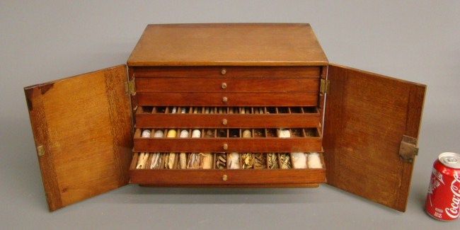 19th c. 2 door specimen cabinet