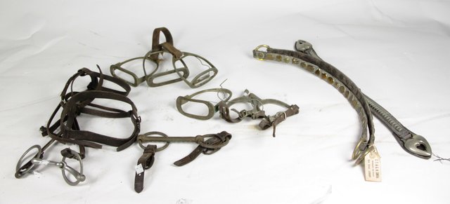 A snaffles bit various straps a 162221
