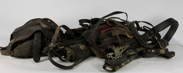 A harness for a Shire horse another 162226