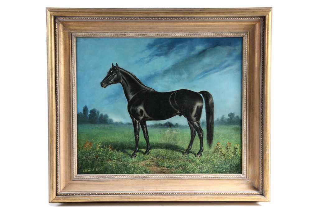 OOC - Equine Portrait of the Stallion