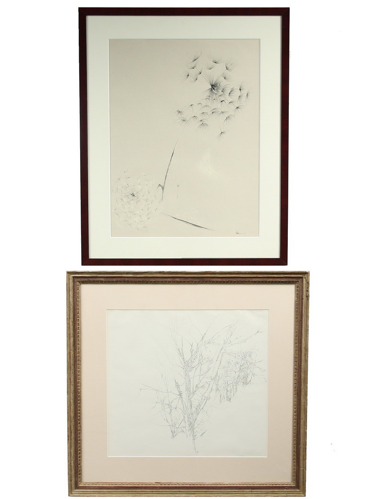 (2) INK DRAWINGS - Studies of Bare Trees