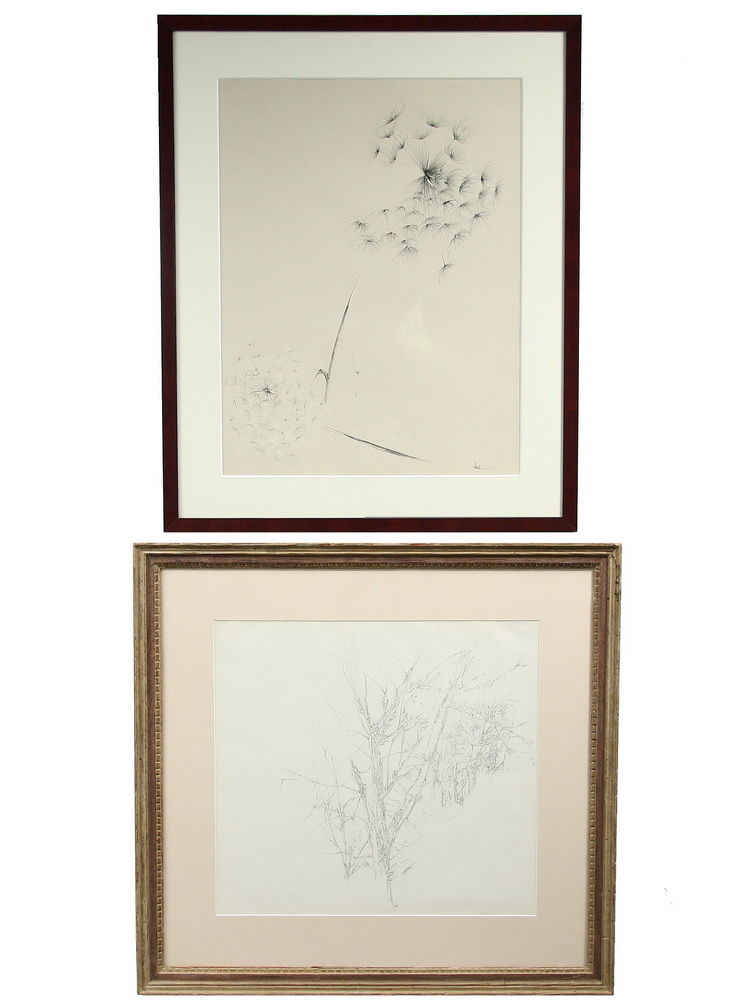 (2) INK DRAWINGS - Studies of Bare