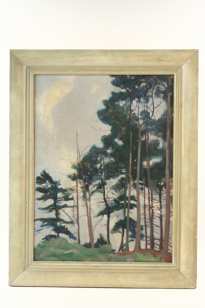 OOB Forest scene with pines silhouetted 162e9c