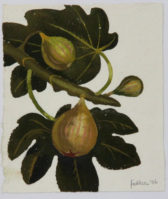 Mary Fedden ARR Study of Figs on